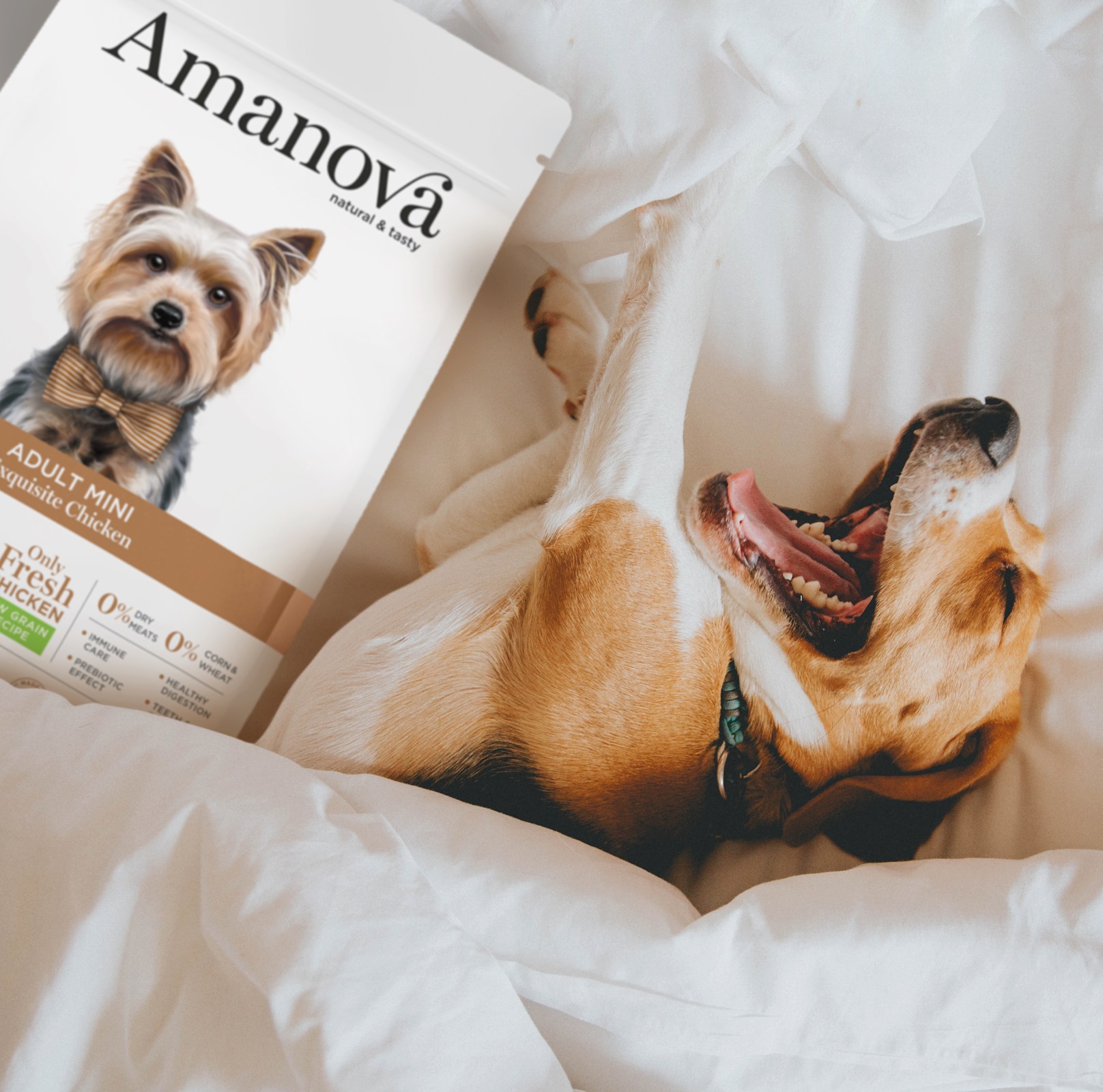 Amanova dog adult mini Exquisite chicken & quinoa 2 kg