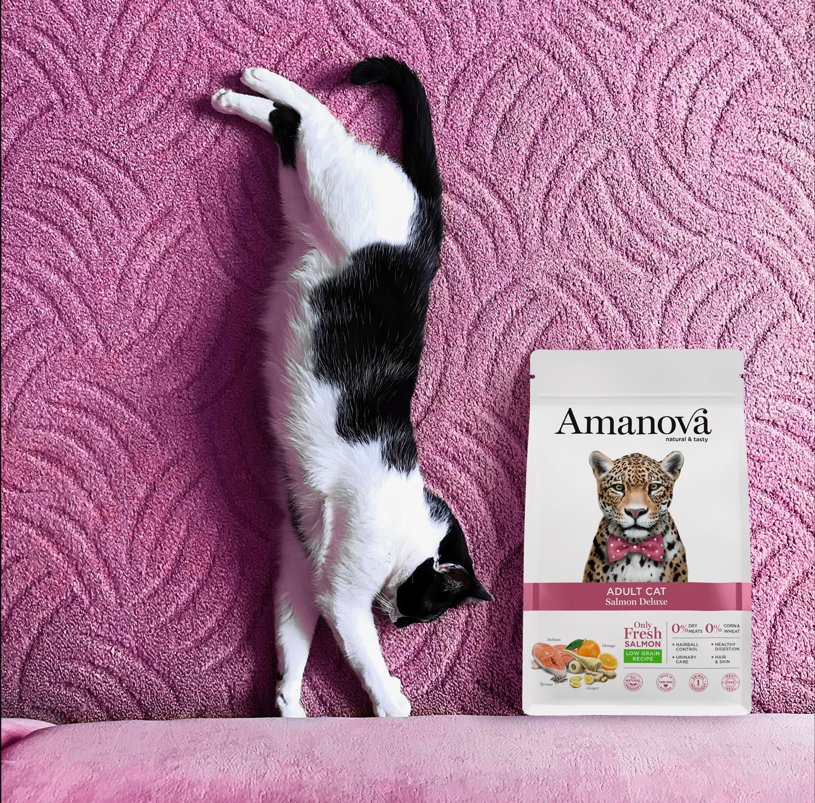 Amanova cat adult lohi & kvinoa low grain 6 kg