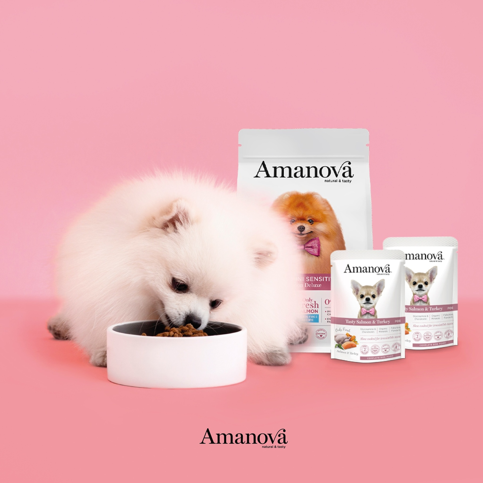 Amanova dog adult mini Sensitive salmon & pumpkin 2 kg