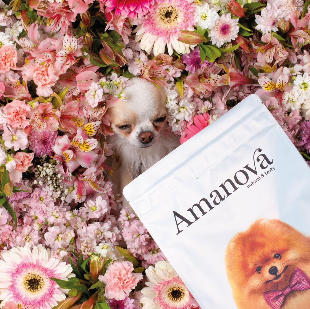 Amanova dog adult mini Sensitive lohi & kurpitsa 800 g