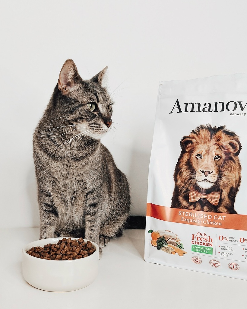 Amanova cat adult Sterilised Exquisite kana & kvinoa 300 g