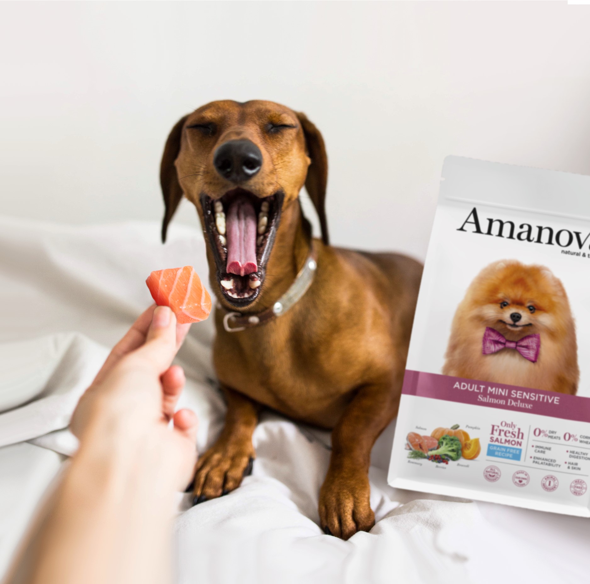 Amanova dog adult mini Sensitive lohi & kurpitsa 7 kg