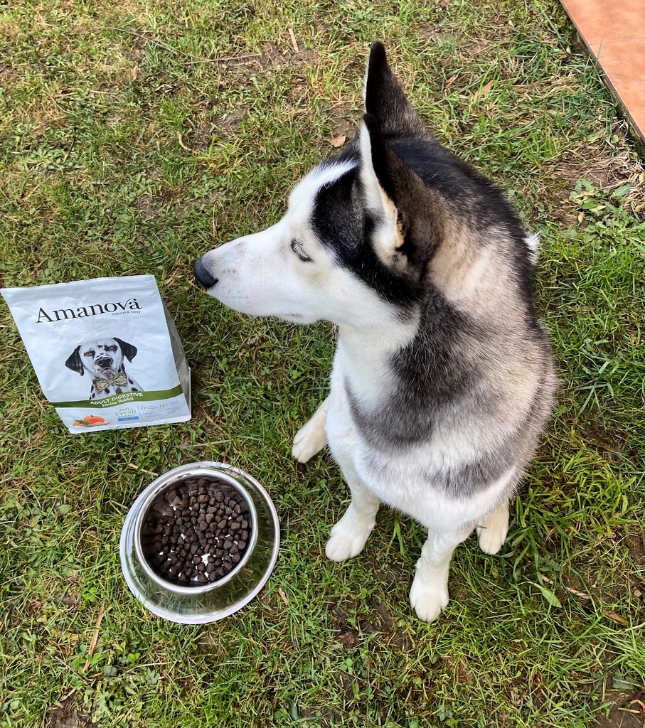 Amanova dog adult Digestive kani & kurpitsa 2 kg