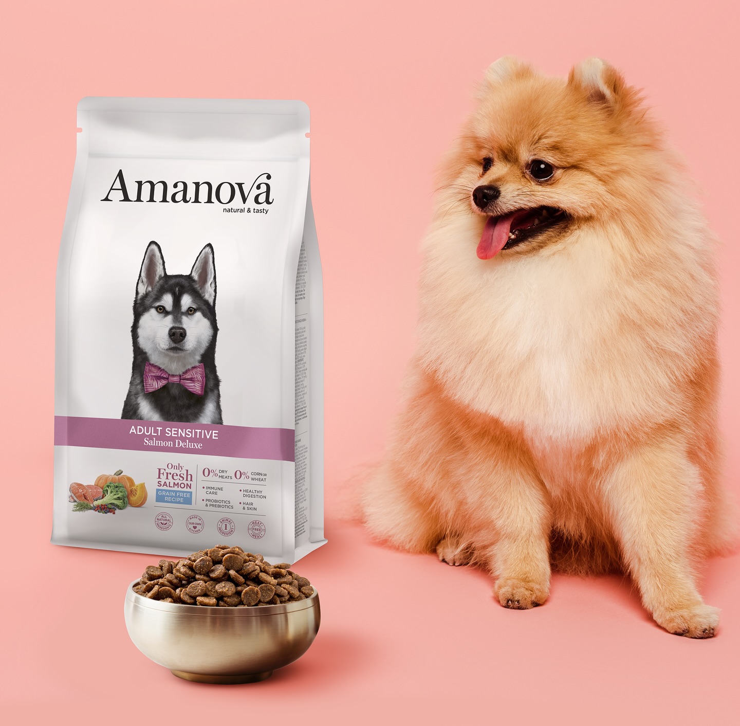 Amanova dog adult Sensitive salmon & pumpkin 2 kg