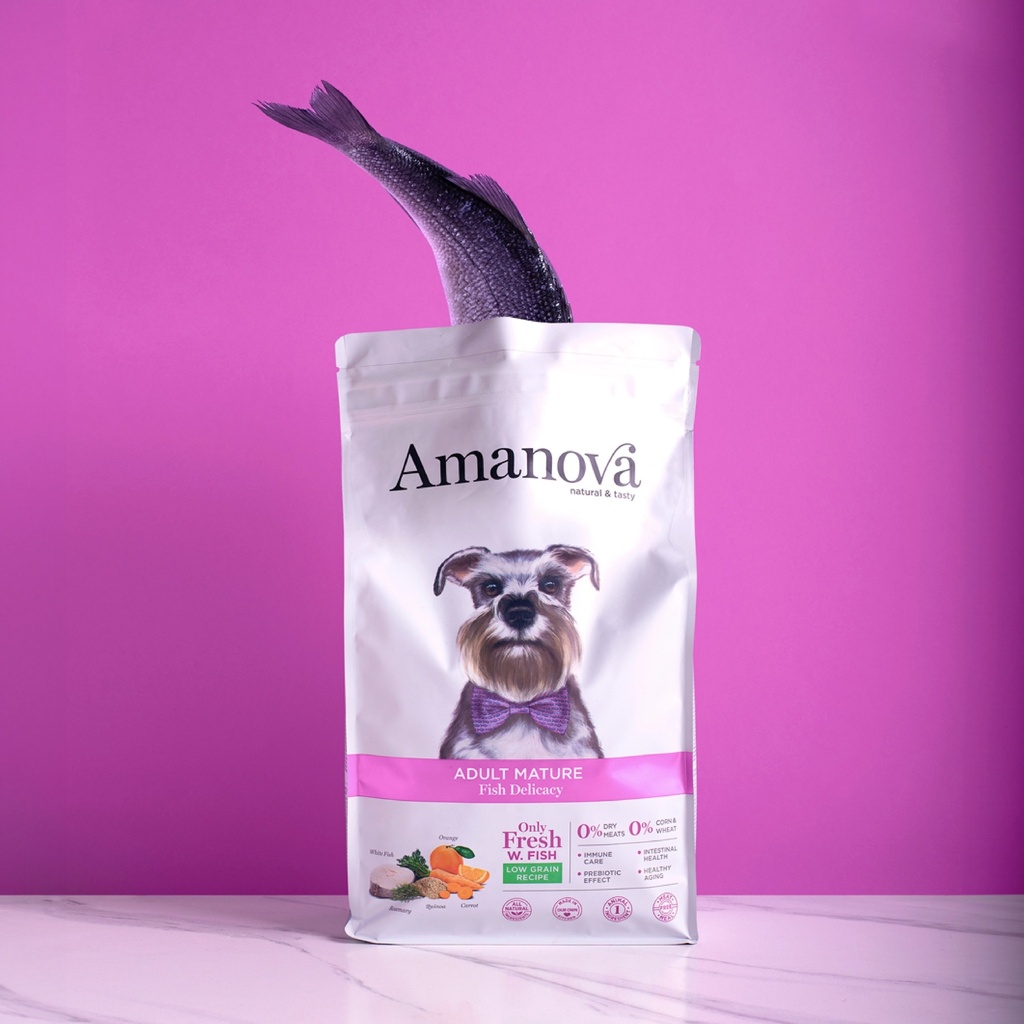 Amanova dog senior Mature kala & kvinoa 2 kg
