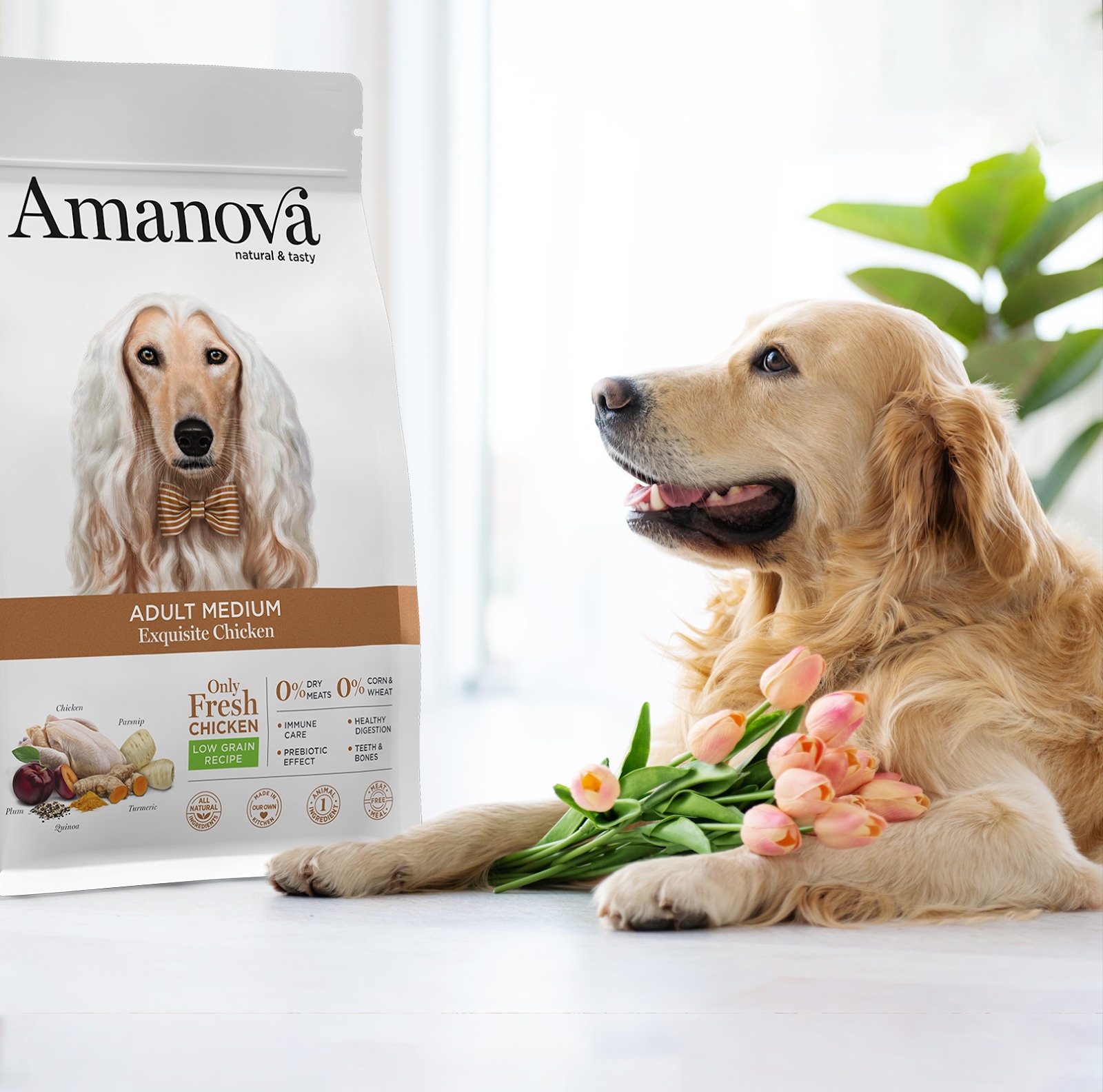 Amanova dog adult Medium Exquisite Chicken & quinoa 2 kg