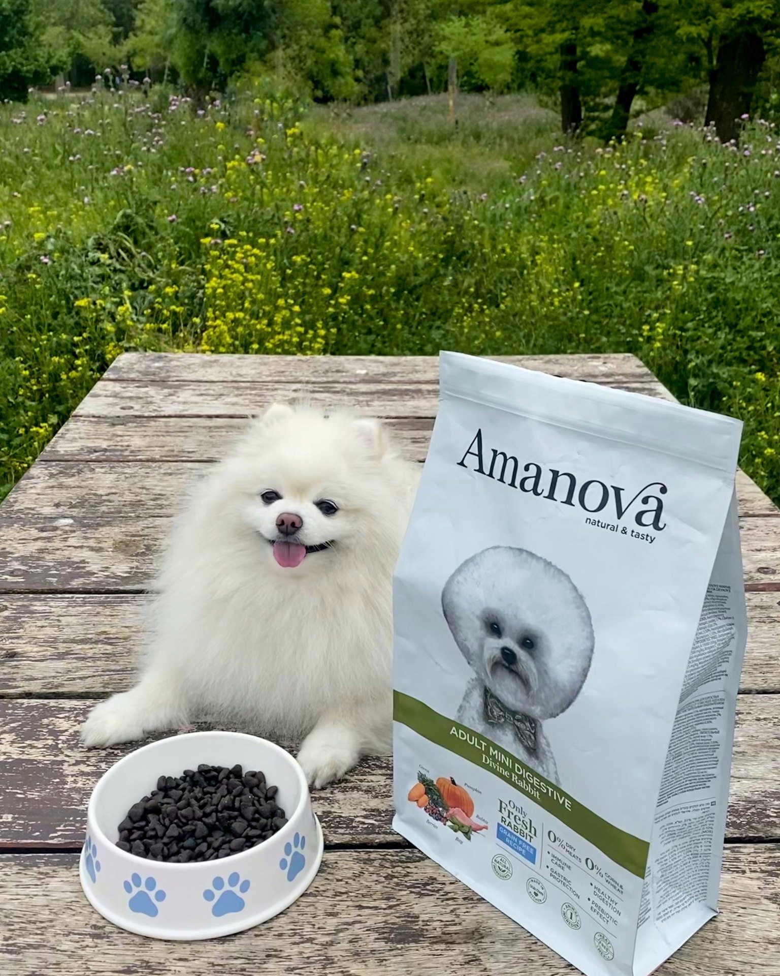 Amanova dog adult mini Digestive jänes & kõrvits 2 kg