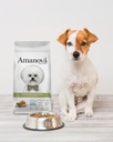 Amanova dog adult mini Digestive kani & kurpitsa 800 g