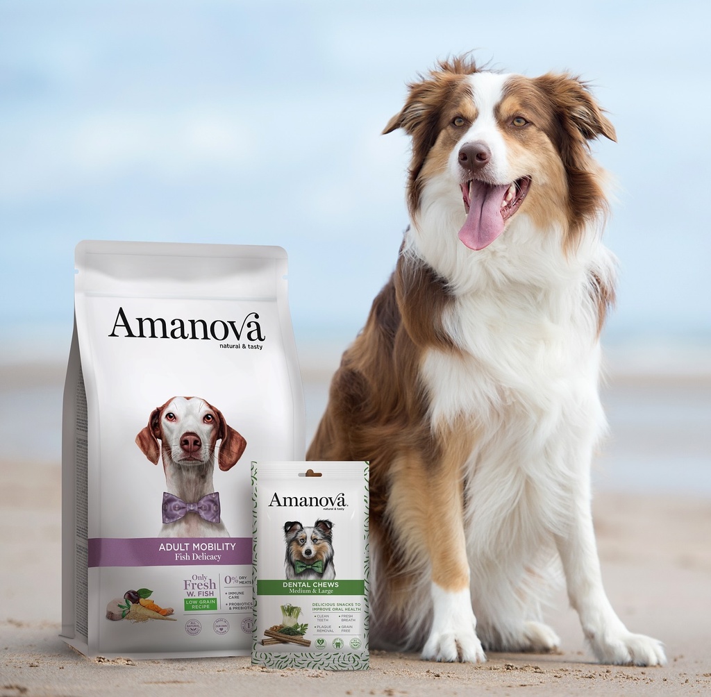 Amanova dog adult Mobility kala & kvinoa 10 kg