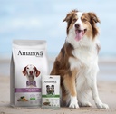 Amanova dog adult Mobility kala & kvinoa 10 kg