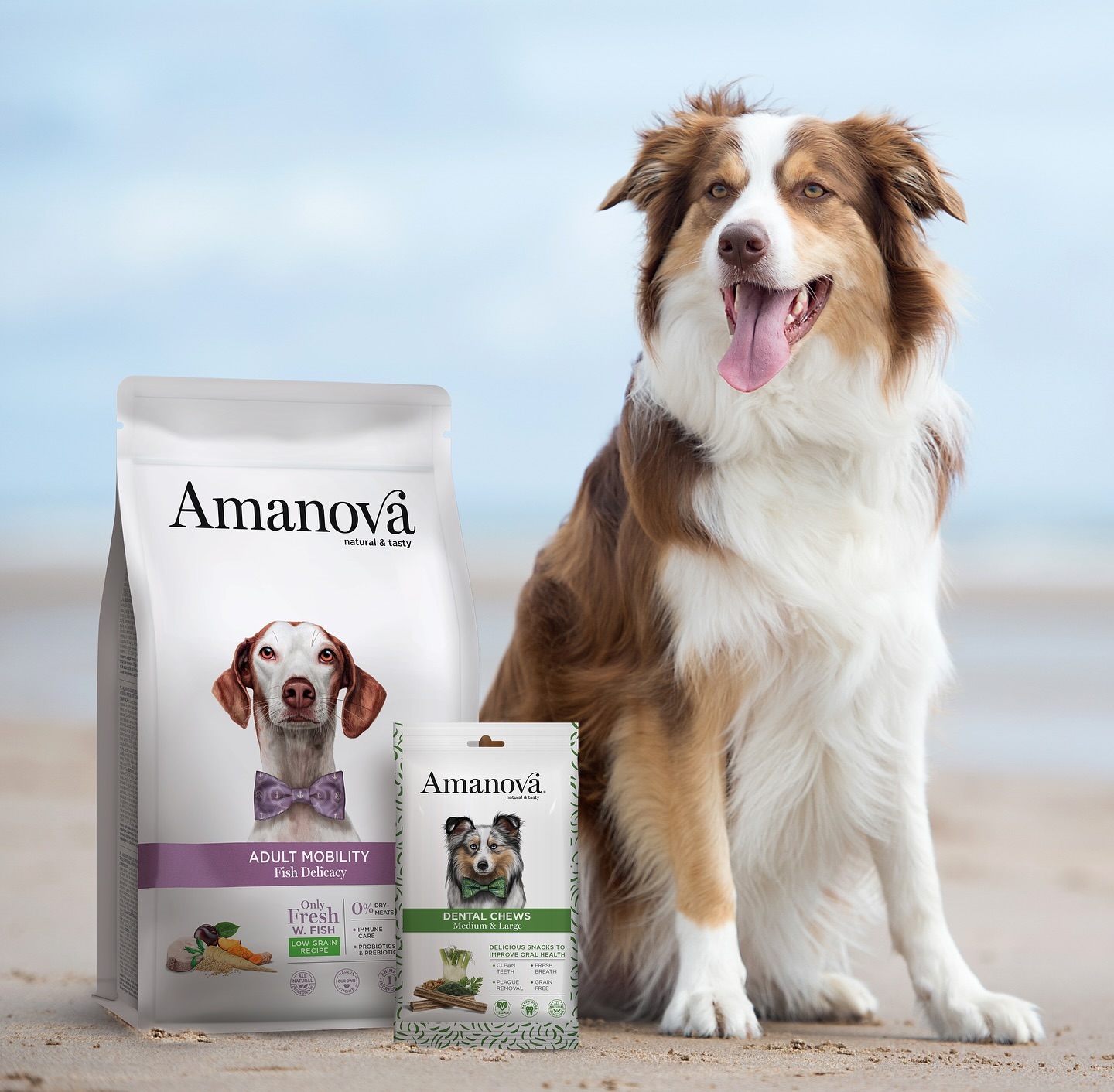 Amanova dog adult Mobility kala & kvinoa 10 kg