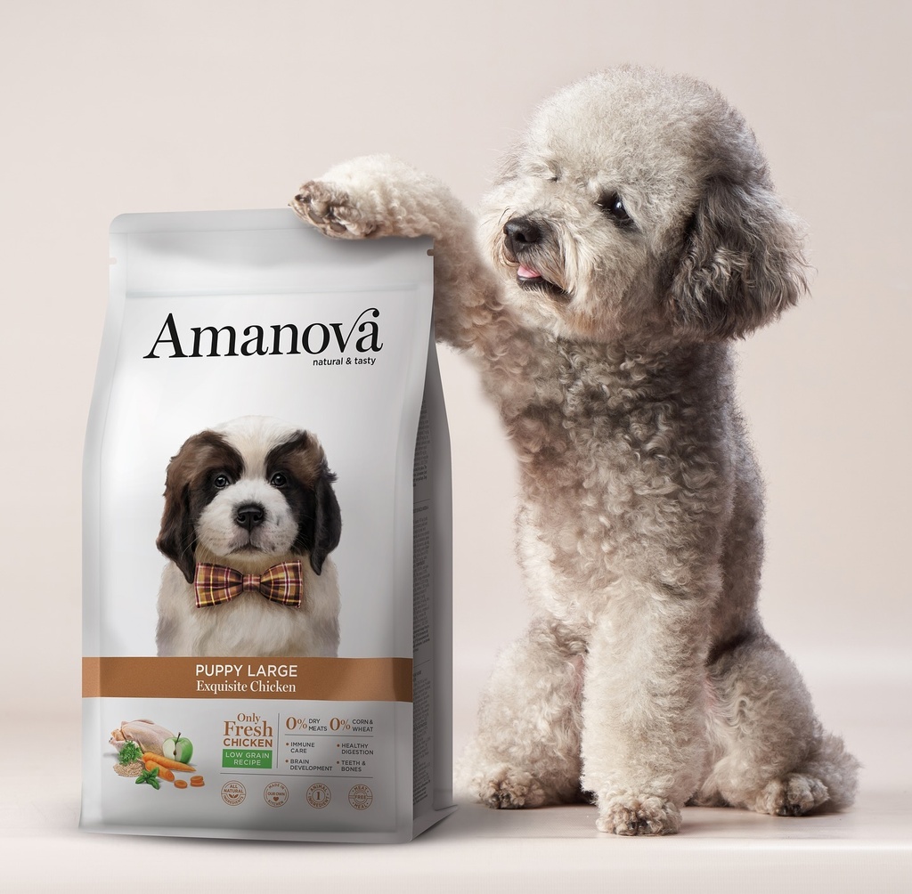 Amanova dog puppy large Exquisite kana & kvinoa 12 kg
