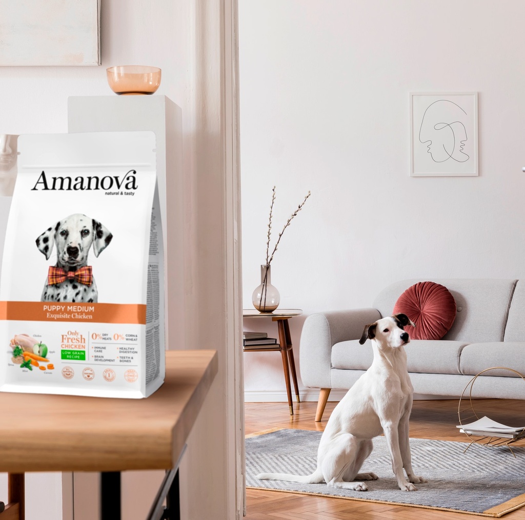 Amanova dog puppy medium Exquisite kana & kvinoa 12 kg