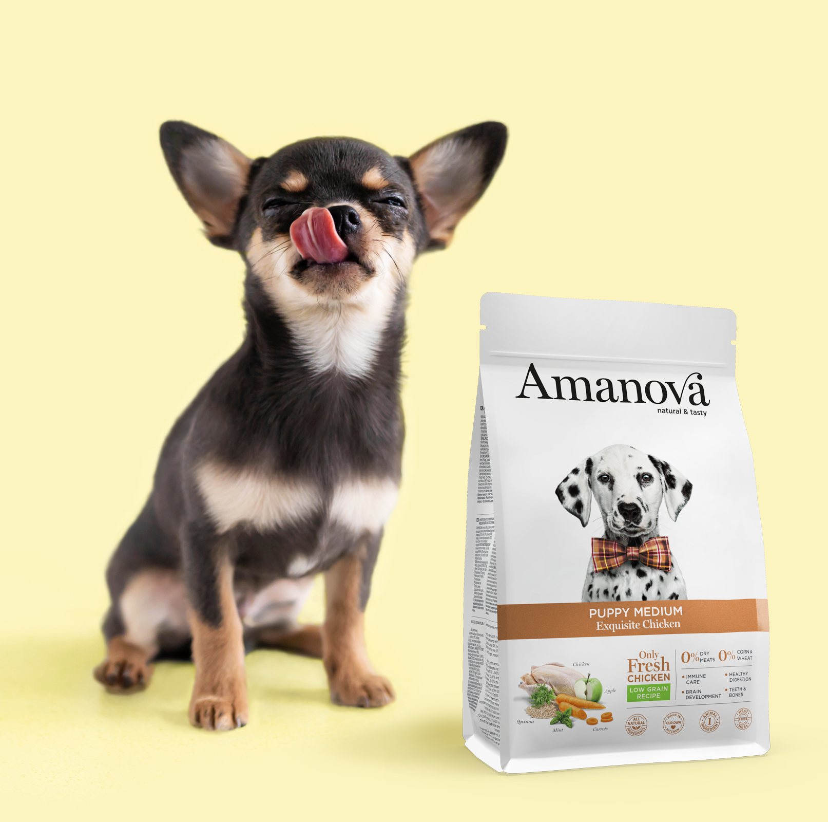 Amanova dog puppy medium Exquisite chicken & quinoa2 kg