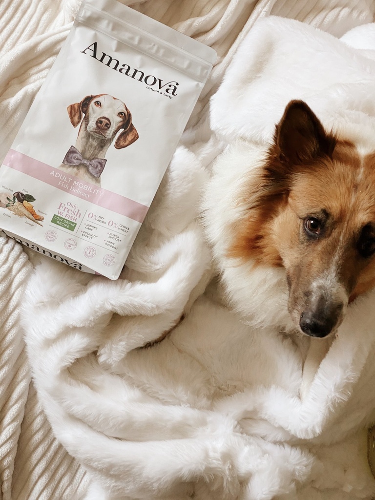 Amanova dog adult Mobility kala & kvinoa 2 kg