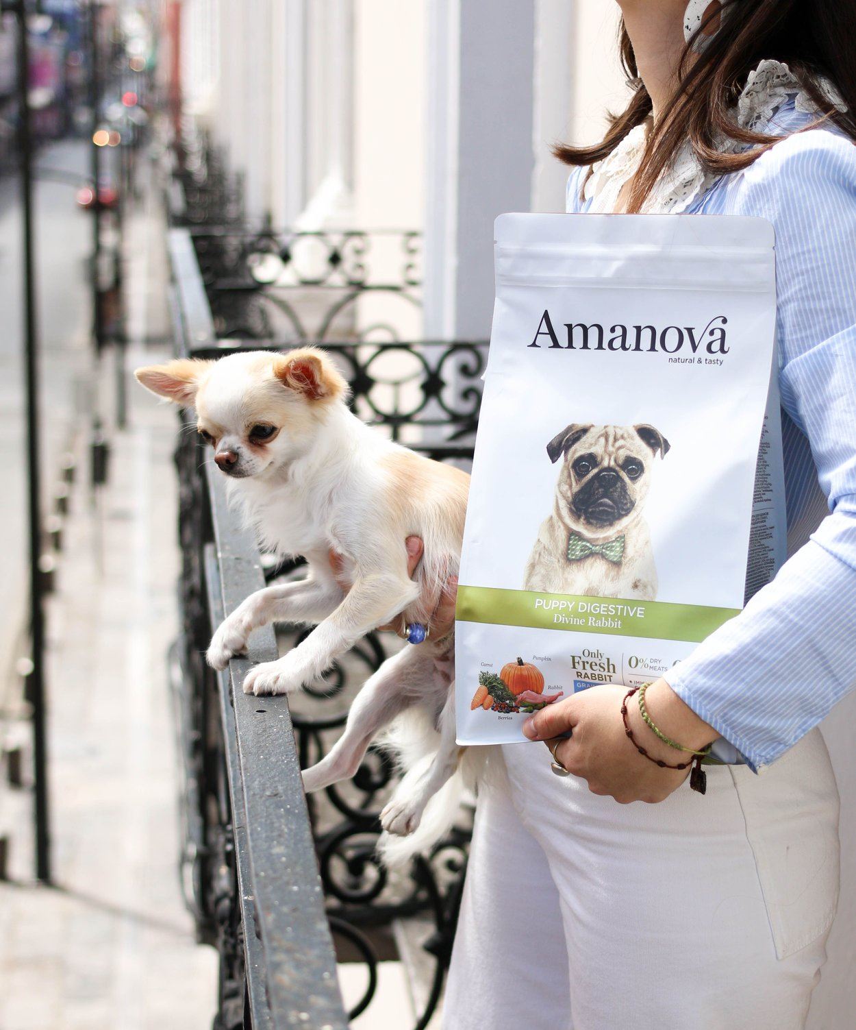 Amanova Puppy Digestive kani & kurpitsa pennuille 2 kg