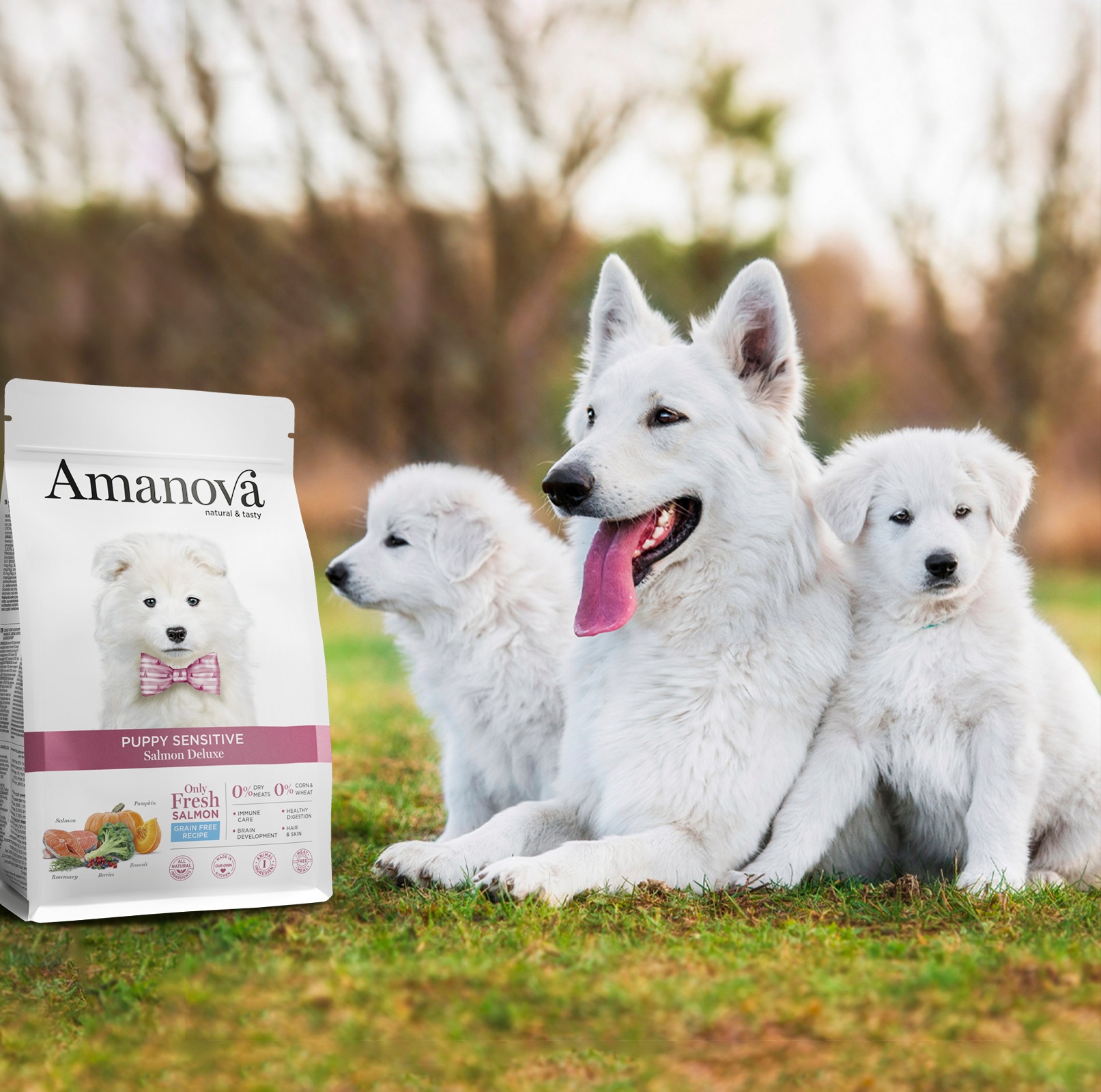 Amanova dog puppy Sensitive lohi & kurpitsa 7 kg