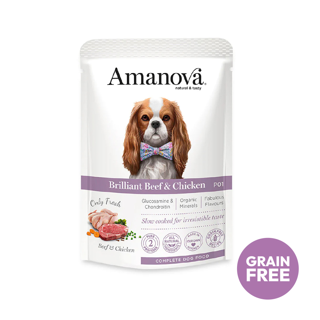 Amanova dog adult Brilliant Beef & Chicken 100 g pouch