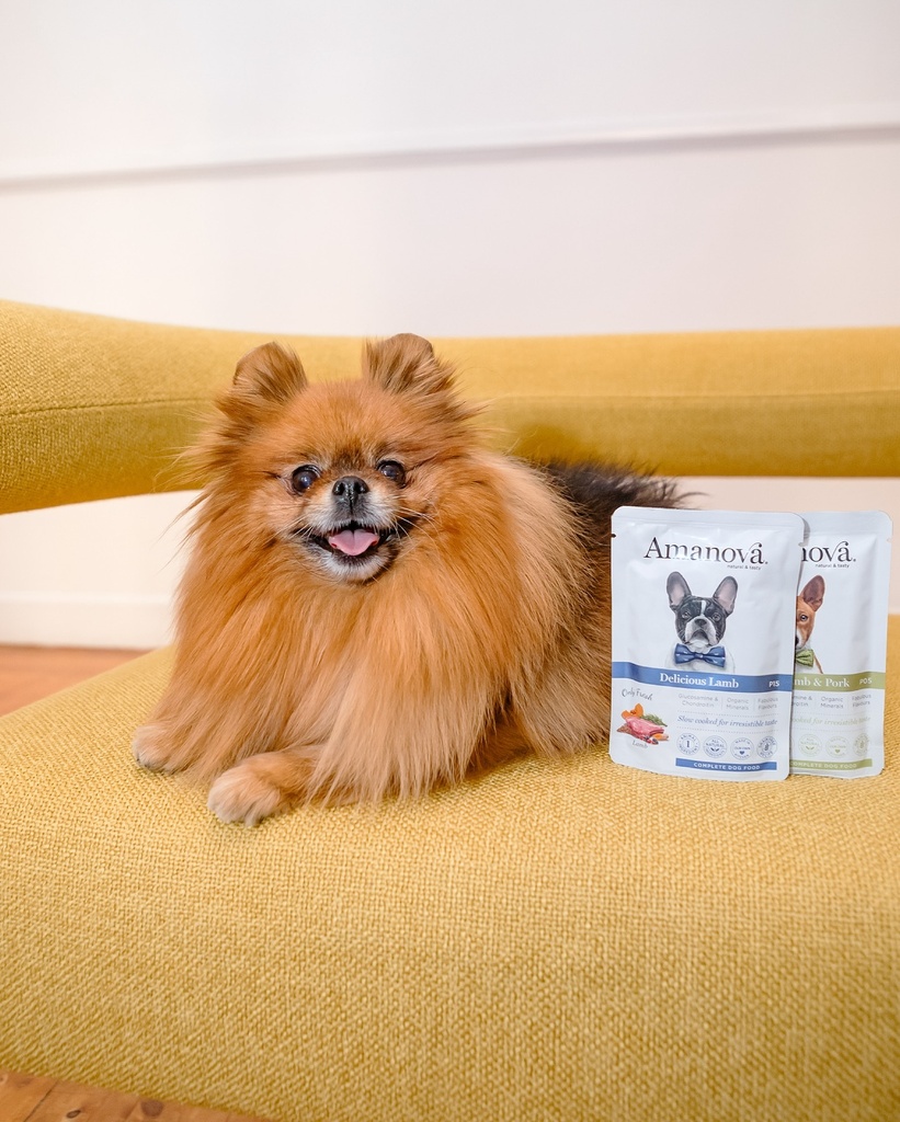 Amanova dog adult Delicious lammas & kurpitsa 300 g pouch