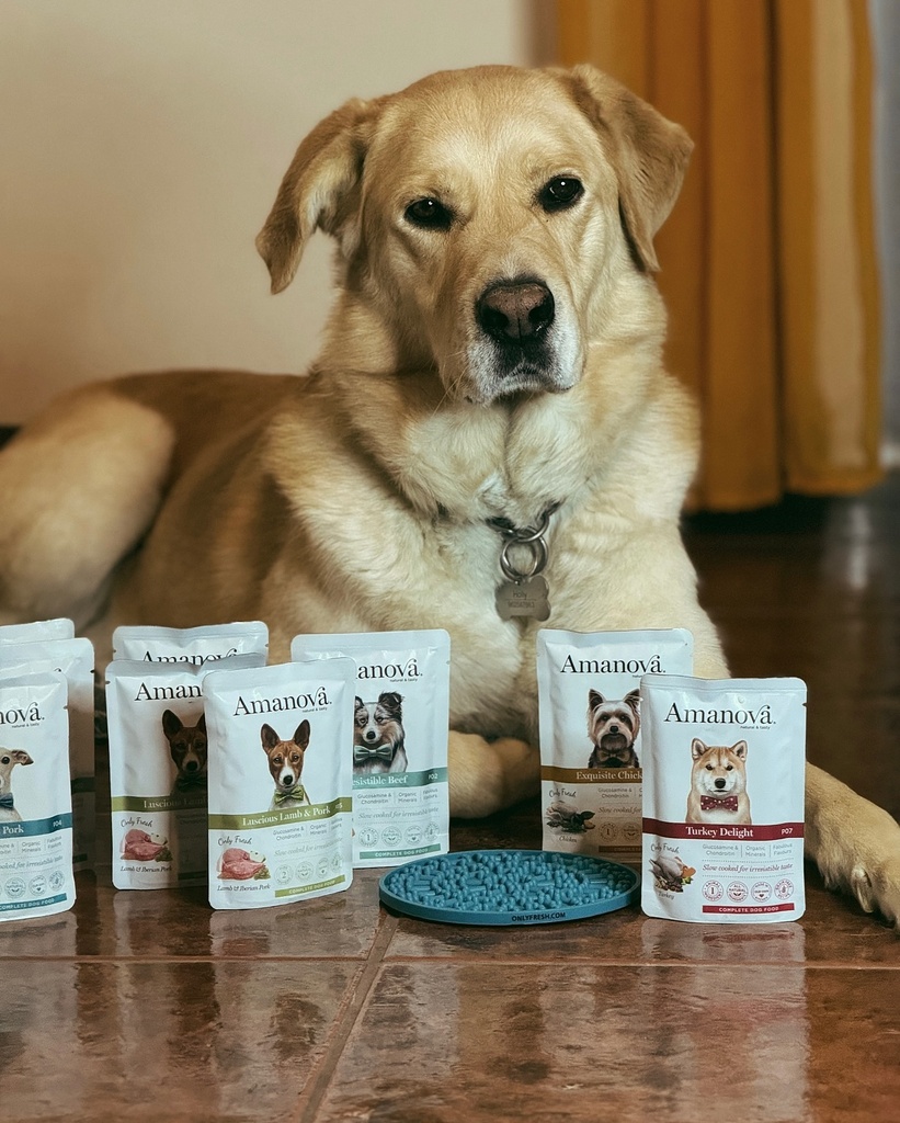 Amanova dog adult Delight kalkkuna 100 g pouch