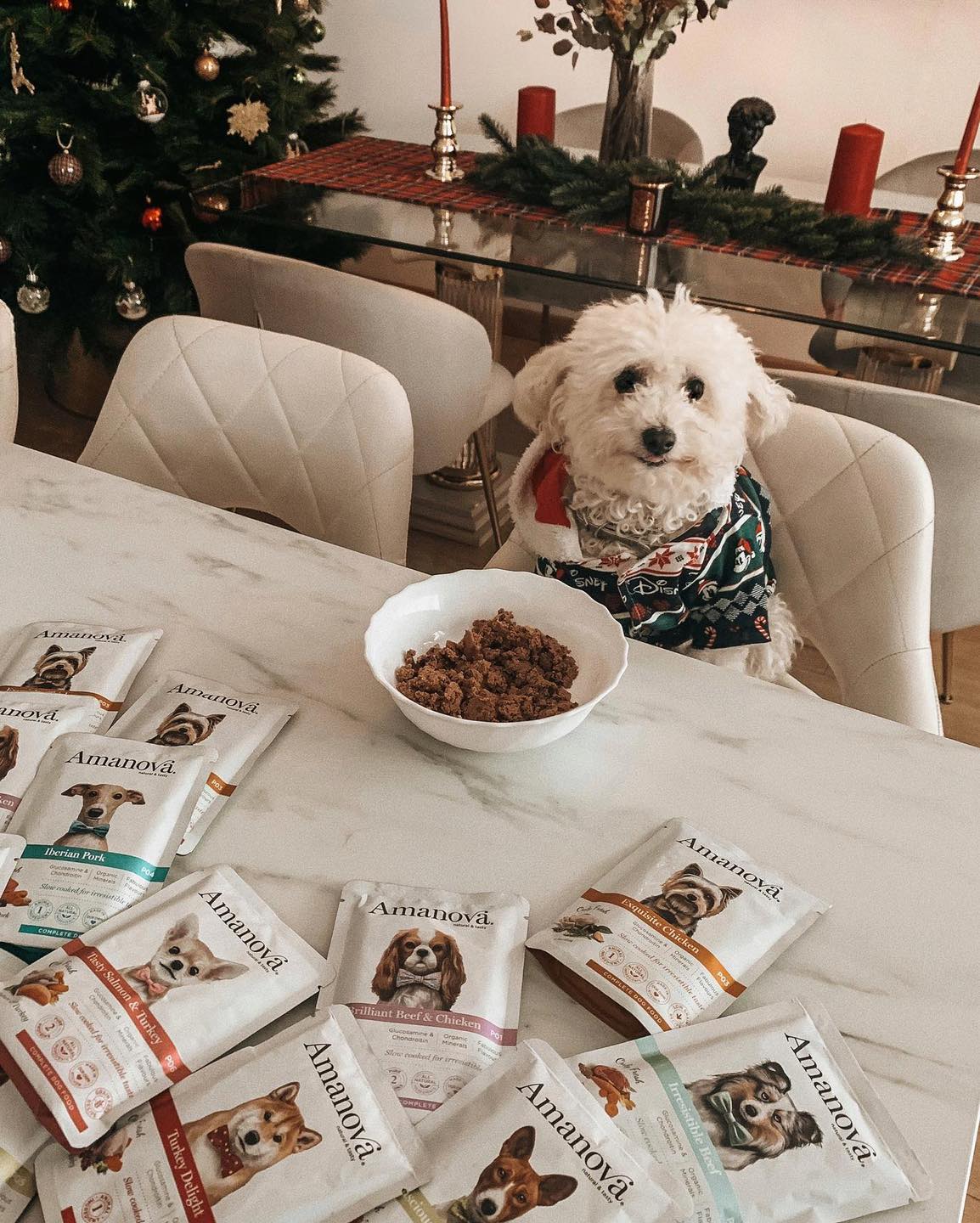 Amanova dog adult Exquisite kana 300 g pouch