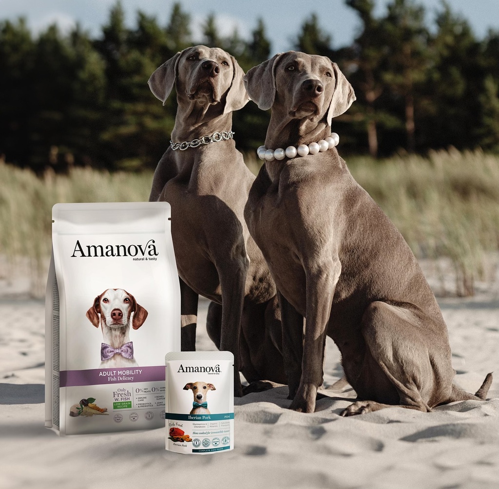 Amanova dog adult Iberian possu 300 g pouch