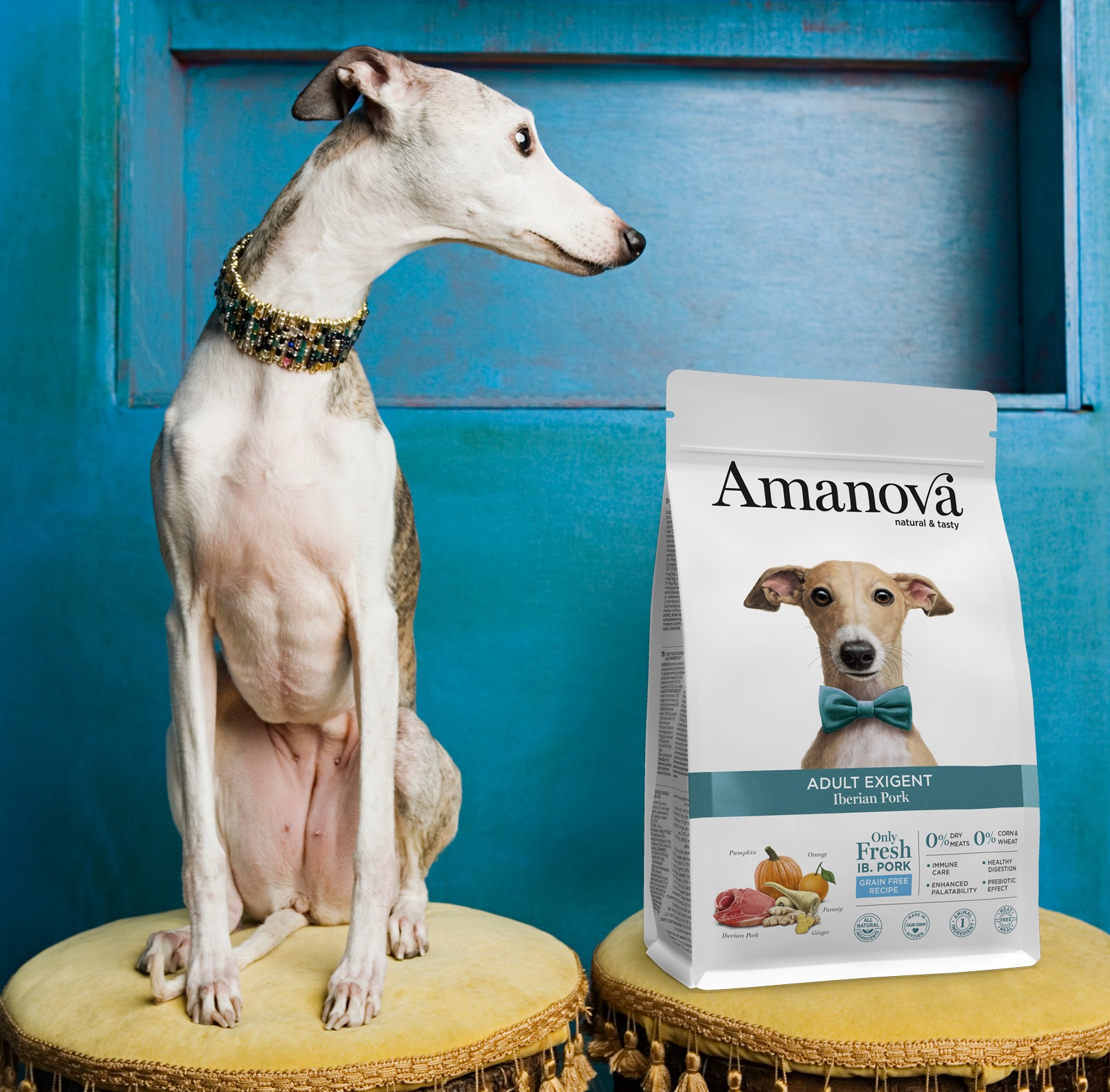 Amanova dog adult Exigent Iberian fläsk & pumpa 10 kg