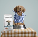 Amanova dog adult Exigent Iberian possu & kurpitsa 2 kg