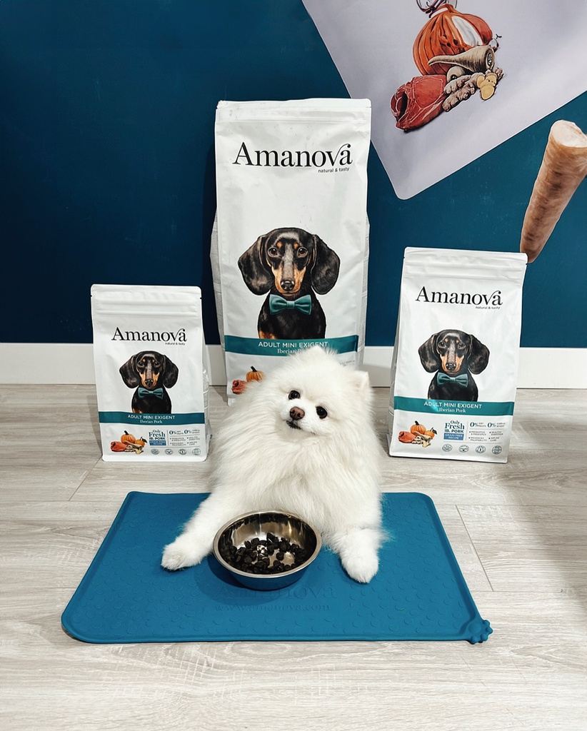 Amanova dog adult mini Exigent Iberian possu & kurpitsa 800 g