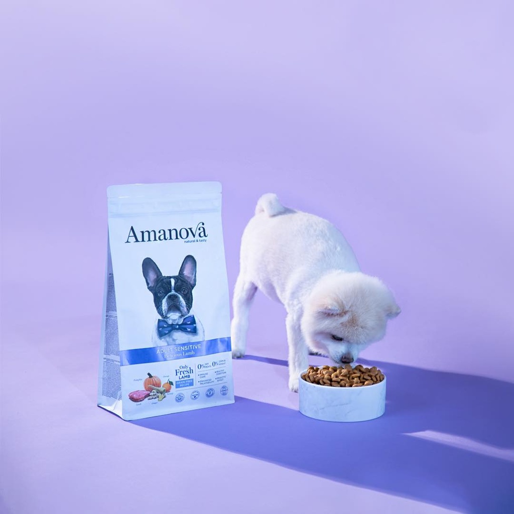Amanova dog adult Sensitive lammas & kurpitsa 2 kg