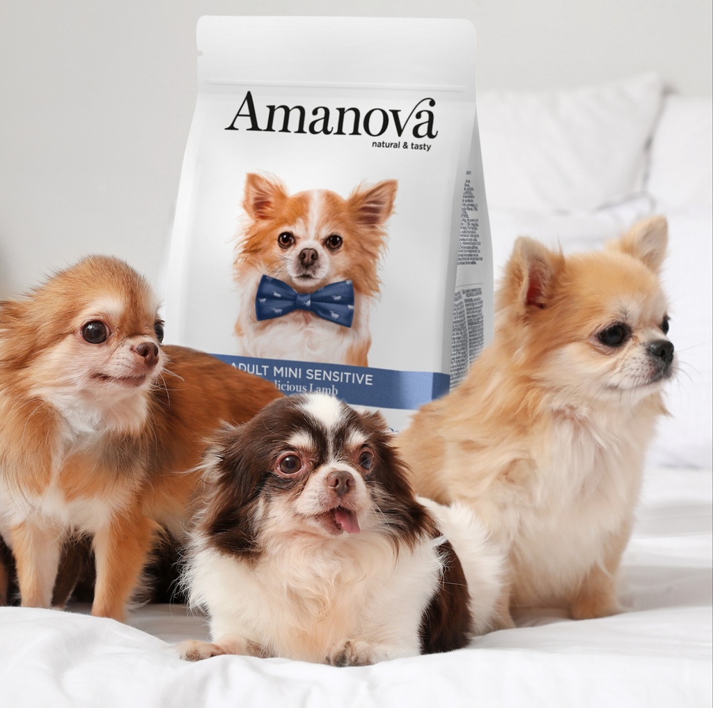 Amanova dog adult mini Sensitive lammas & kurpitsa 800 g