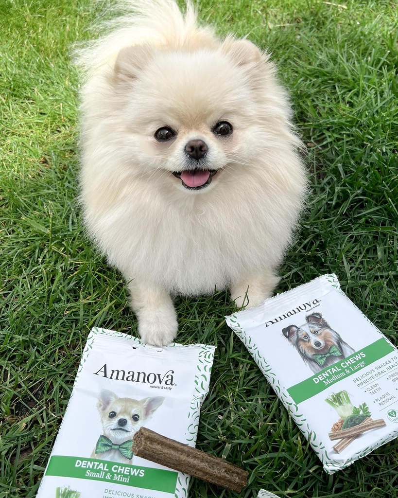 Amanova dog adult Dental puruherkku medium & large