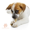 Kaikenkarvaiset Jäniksen korvat 100g