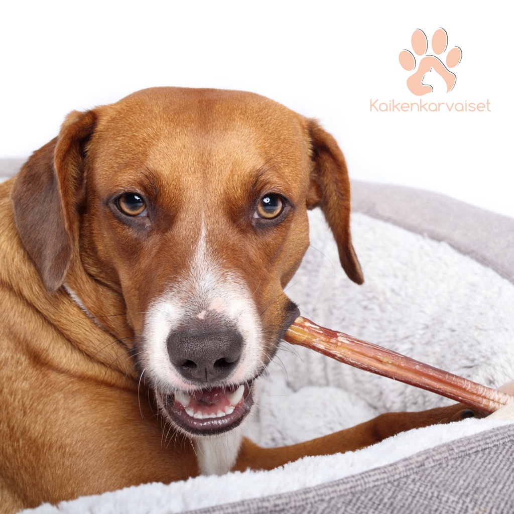 Kaikenkarvaiset Lampaan sticks 100g