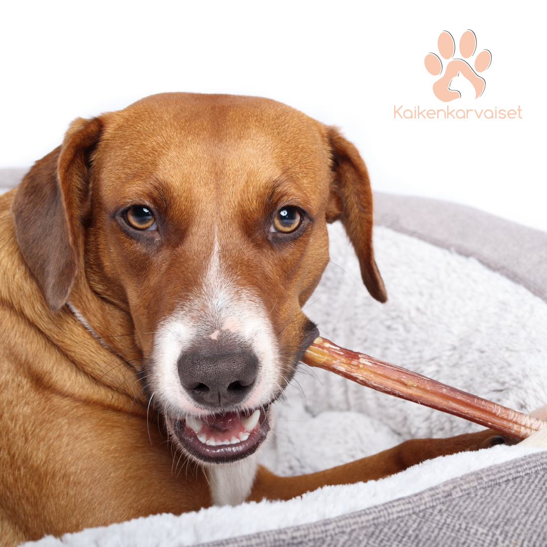 Kaikenkarvaiset Lampaan sticks 100g