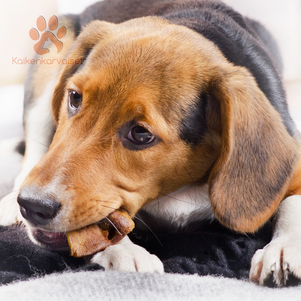 Kaikenkarvaiset Naudan päänahkasuikale 150g