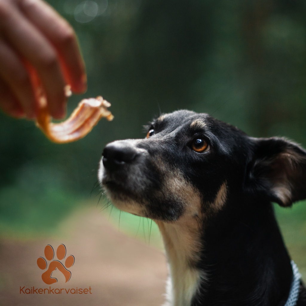 Kaikenkarvaiset Possun korvasiivu 250g