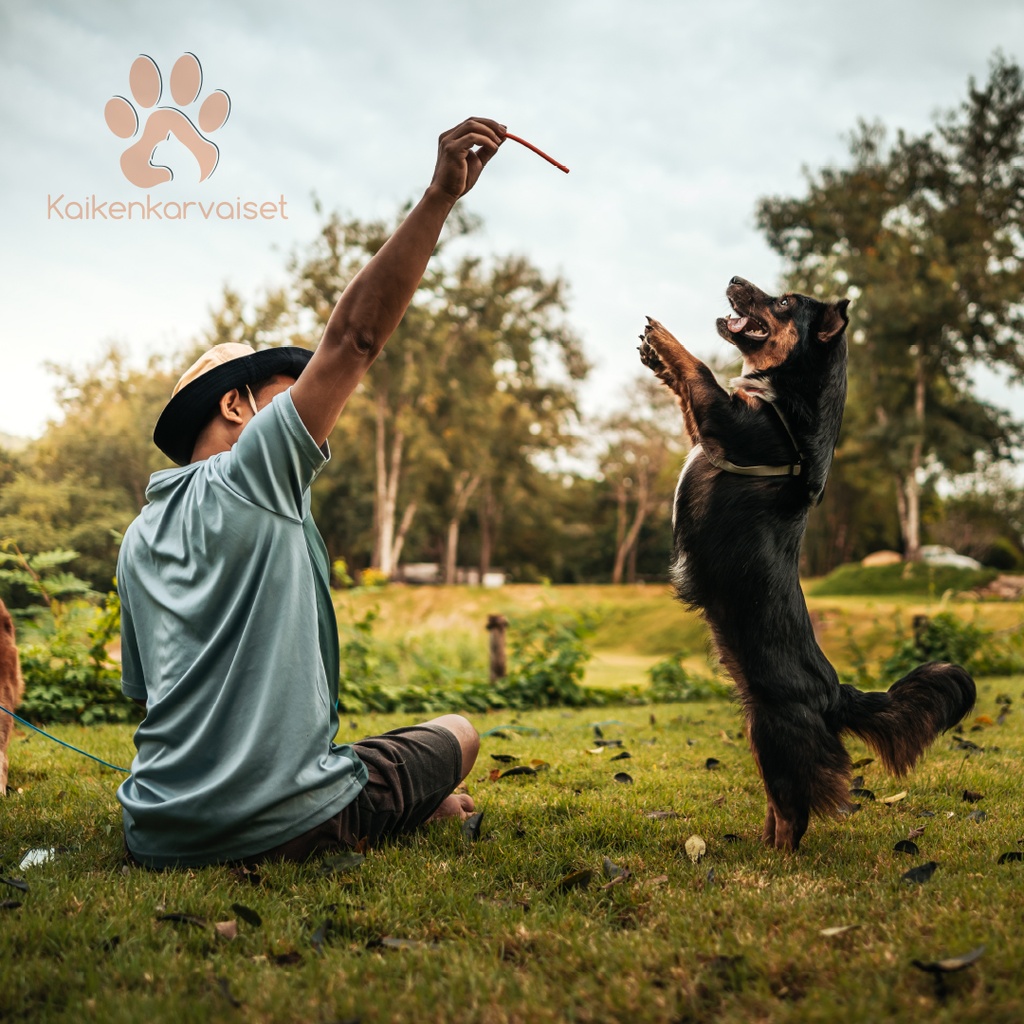 Kaikenkarvaiset Peuran nahkasuikale 100 g