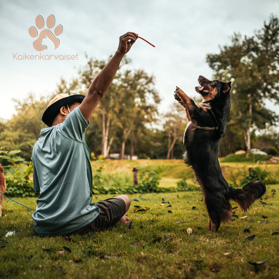 Kaikenkarvaiset Peuran nahkasuikale 100 g