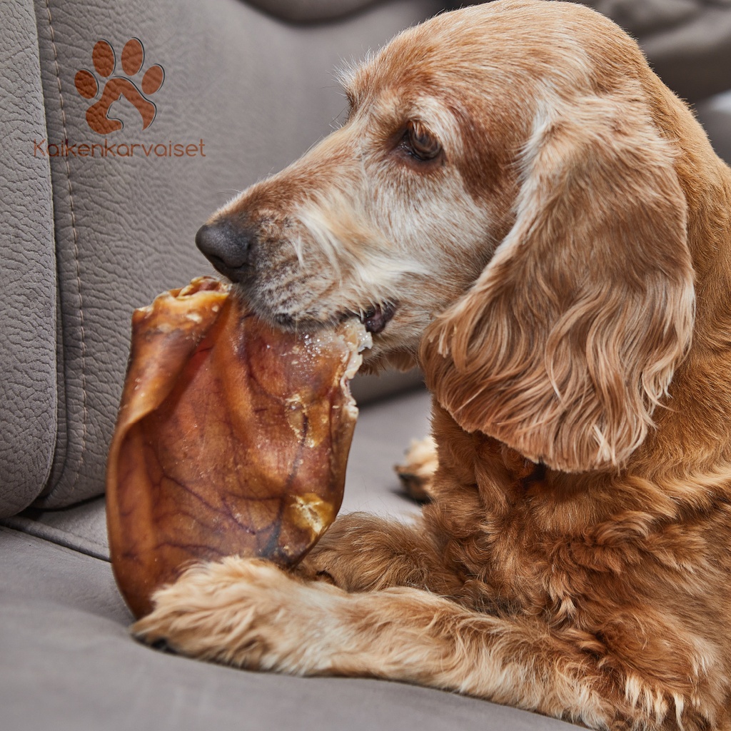 Kaikenkarvaiset Possun korva 5 kpl