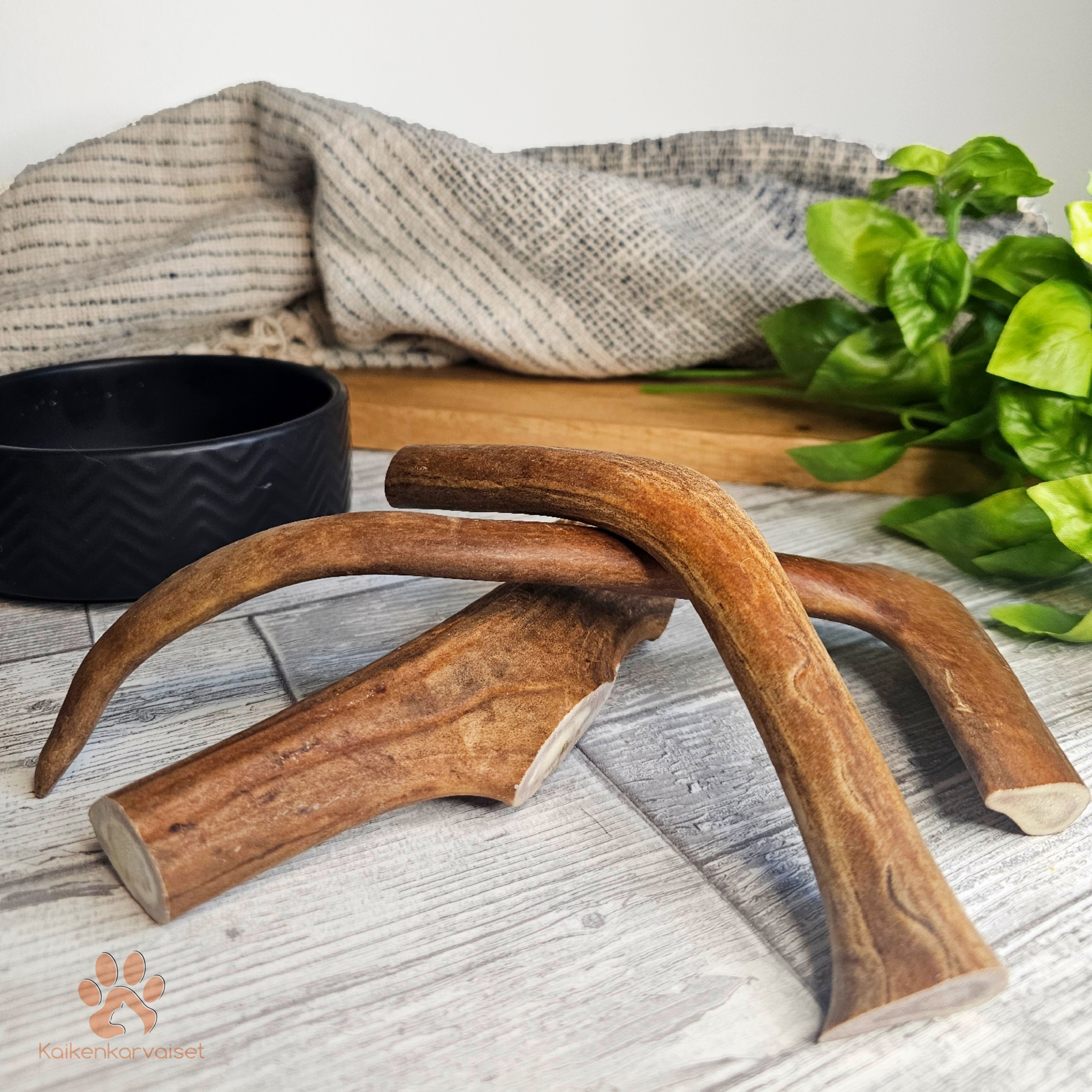 Kaikenkarvaiset Poron sarvi 300g