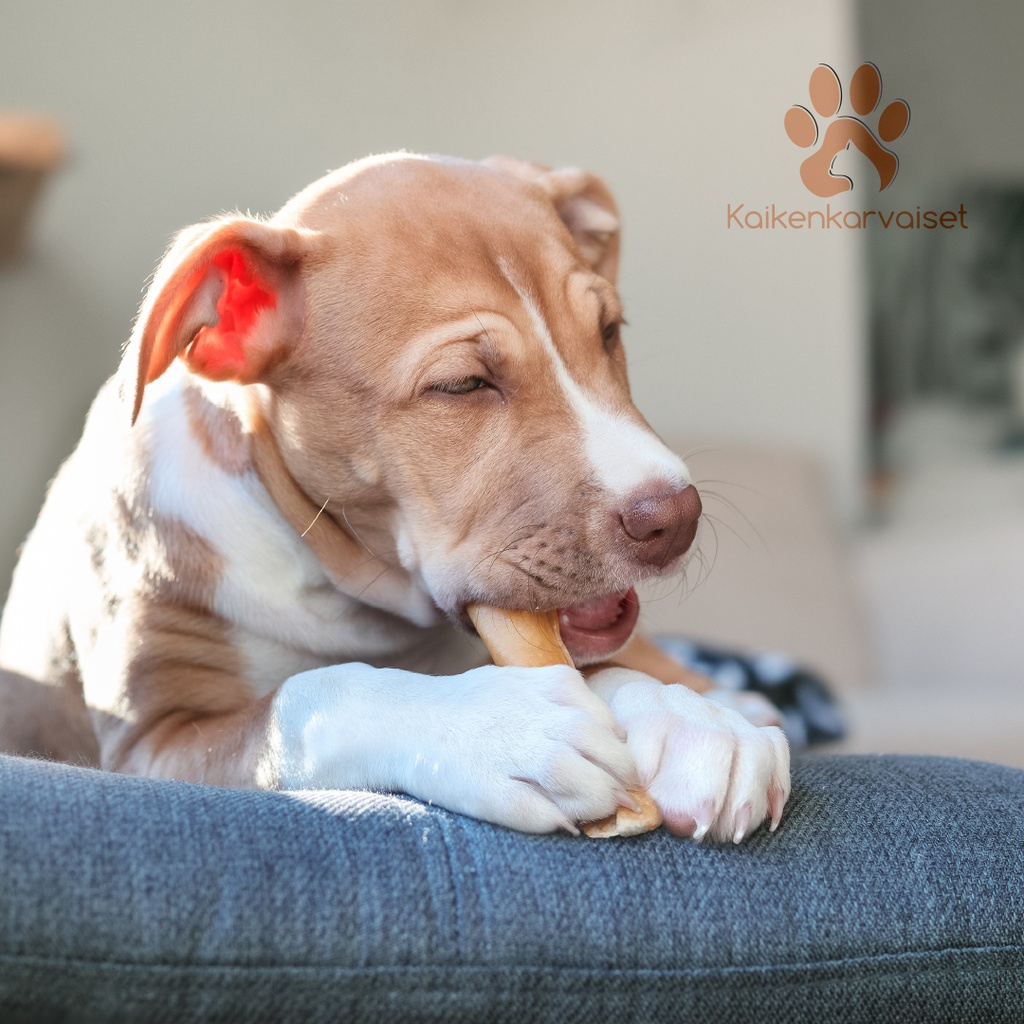 Kaikenkarvaiset Hevosen päänahkasuikale 150g