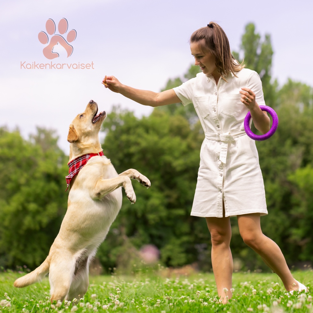 Kaikenkarvaiset Kanan siipi 100g