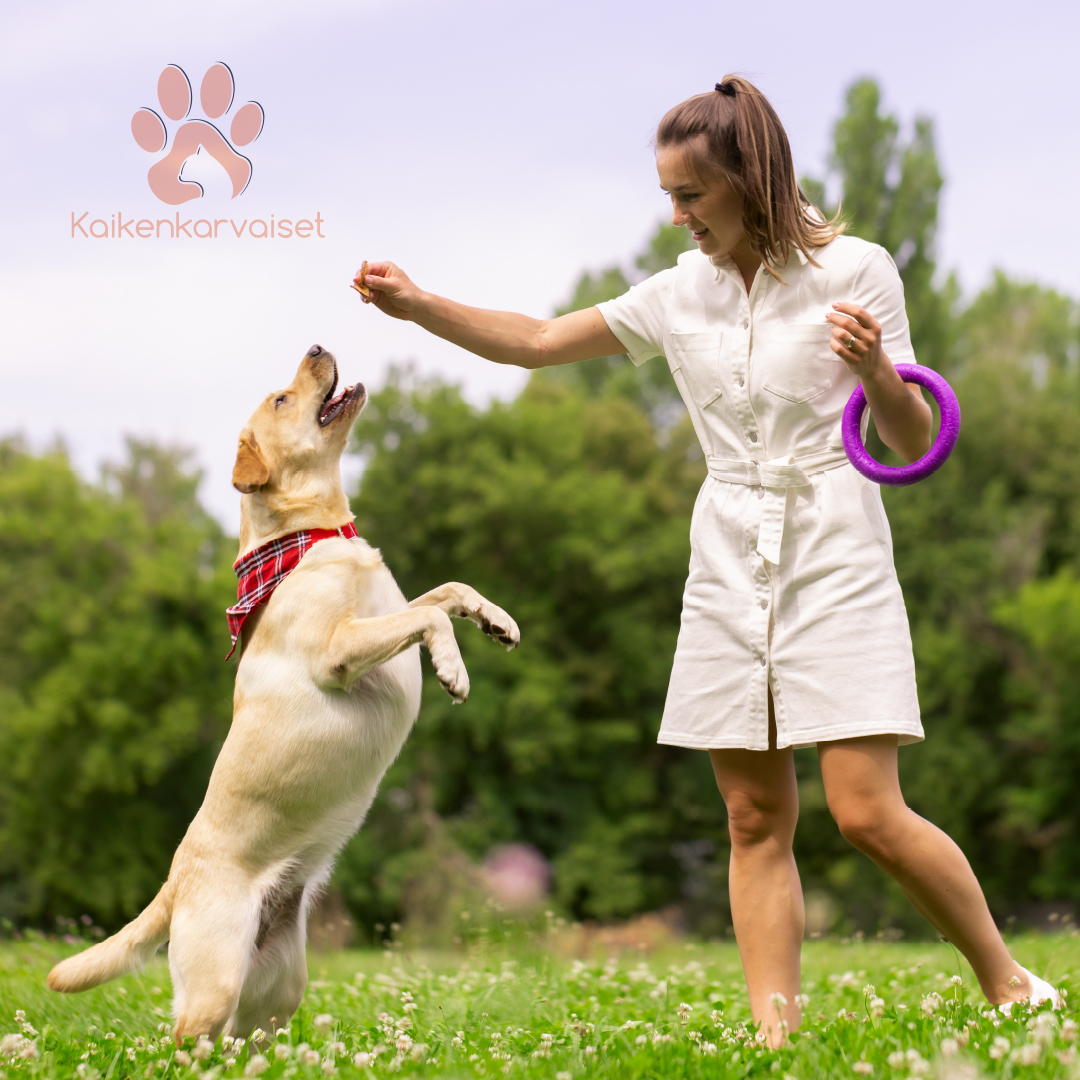 Kaikenkarvaiset Kanan siipi 100g