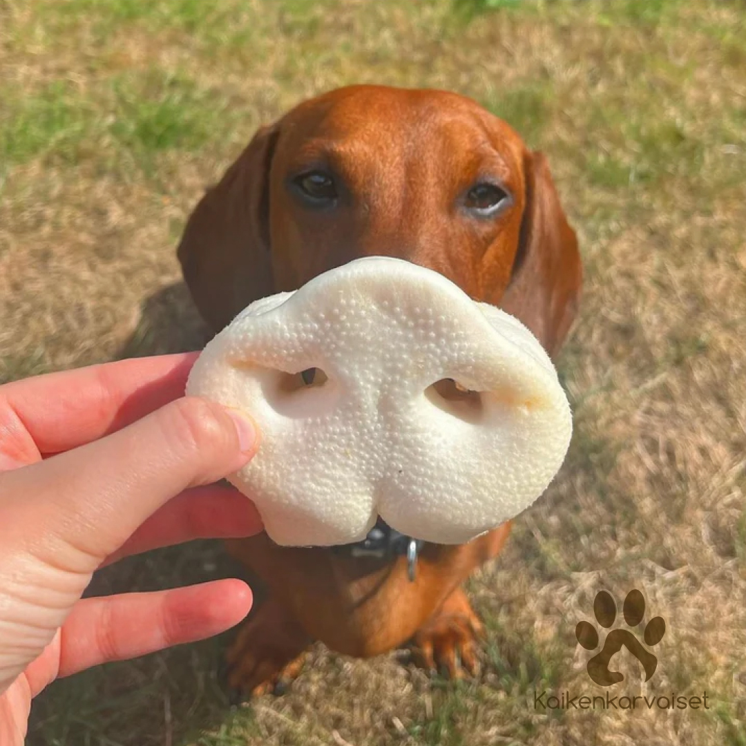 Kaikenkarvaiset Possun nenu puffattu 4 kpl