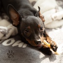 Kaikenkarvaiset Jäniksen nahkapala 80g