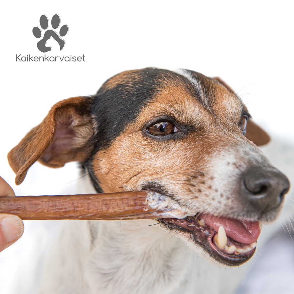 Kaikenkarvaiset Kamelin nahka 150g