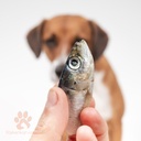 Kaikenkarvaiset Itämeren silli 200g