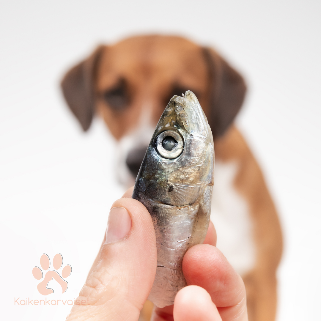 Kaikenkarvaiset Baltic herring 200g