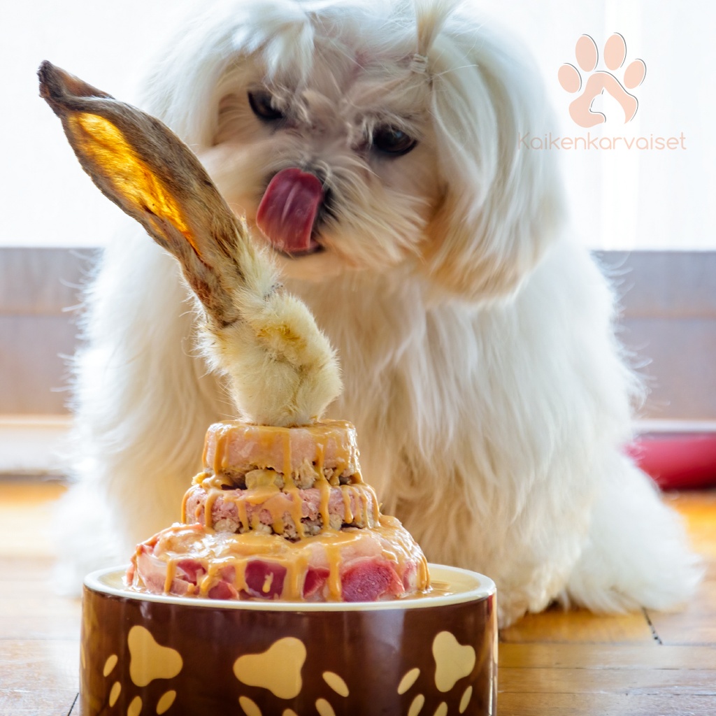 Kaikenkarvaiset Jäniksen korva karvainen 100g